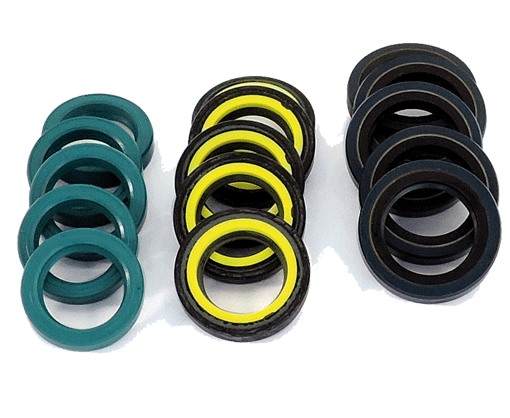 sterzi guide assistite paraoli